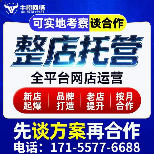 启东电商代运营
