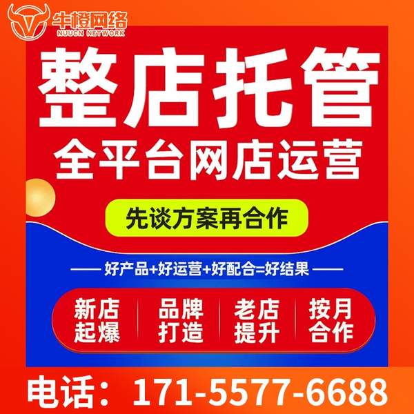 启东电商代运营
