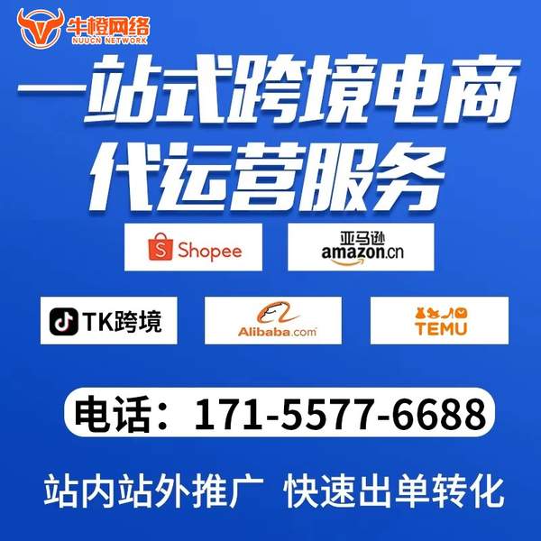 启东电商代运营